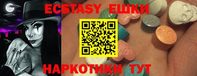 спайс Кингисепп