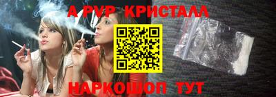 спайс Кингисепп