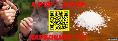 спайс Кингисепп
