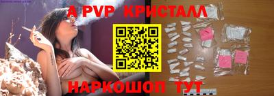 спайс Кингисепп