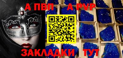спайс Кингисепп