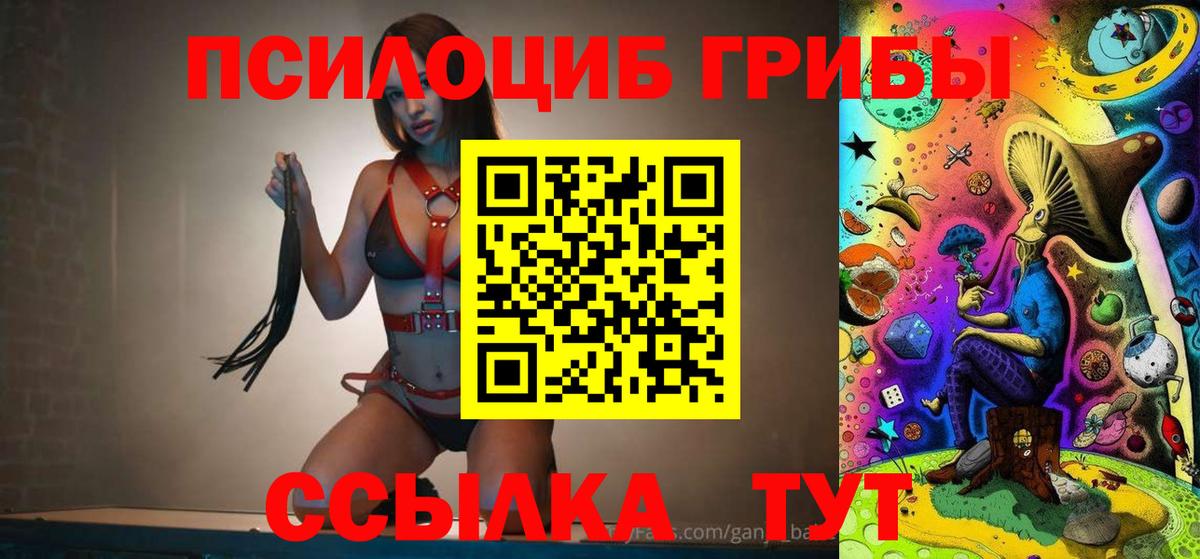 Псилоцибиновые грибы мицелий Киселёвск